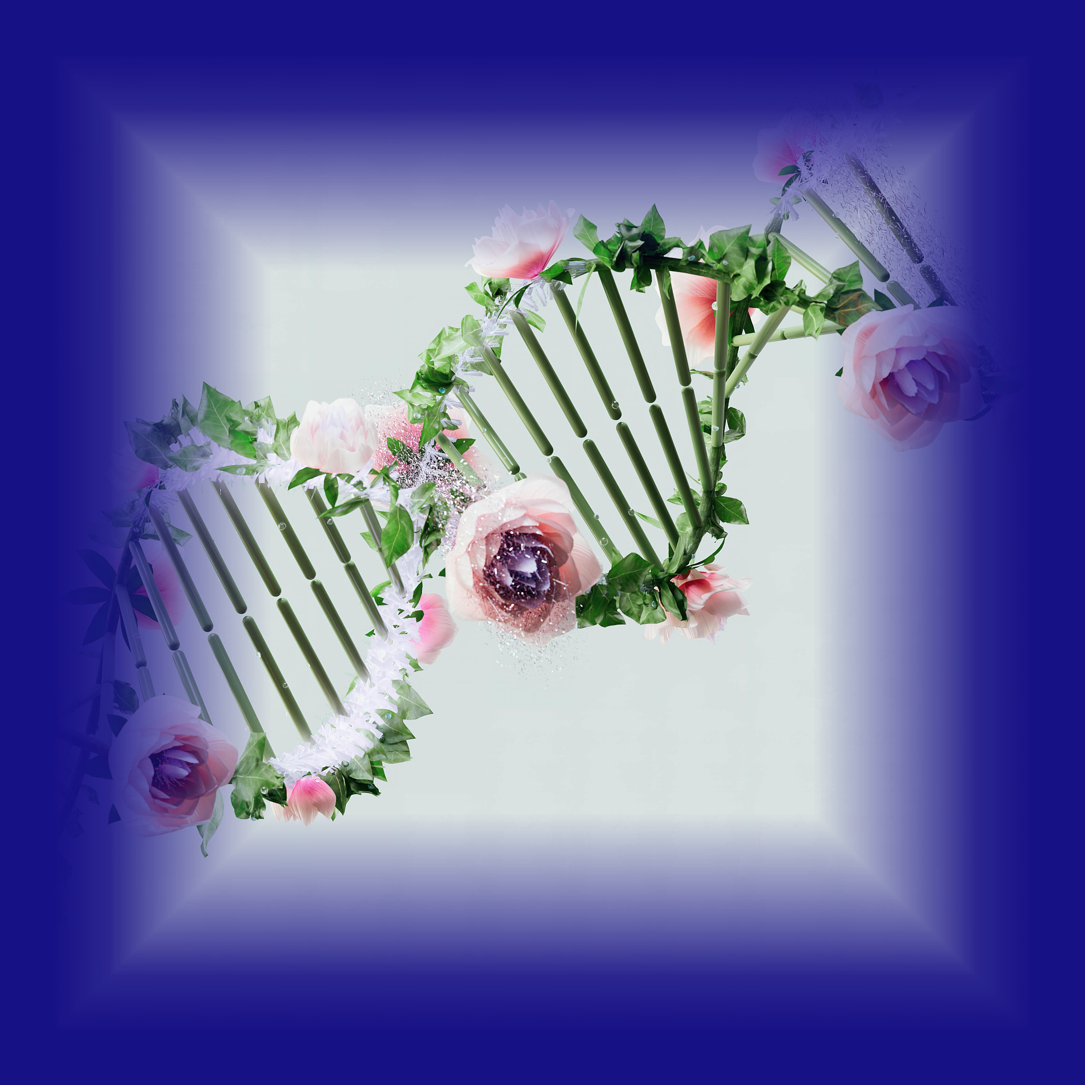 banner-roadmap-flower-sq